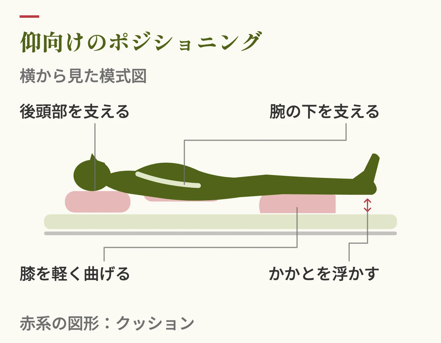 仰向けのポジショニング。後頭部・腕の下・膝の下にクッションを入れ、かかとを浮かせた状態を横から見た図