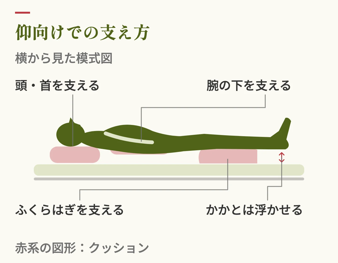 仰向けでの支え方。頭・首、腕の下、ふくらはぎをクッションで支え、かかとを浮かせた状態を横から見た図